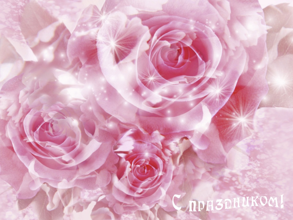 Нежно розовые розы на 8 марта - обои