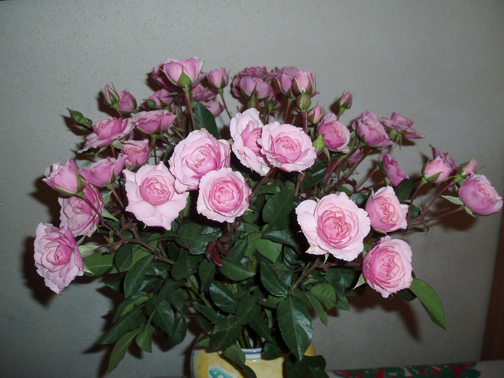 букет роз  в вазе
