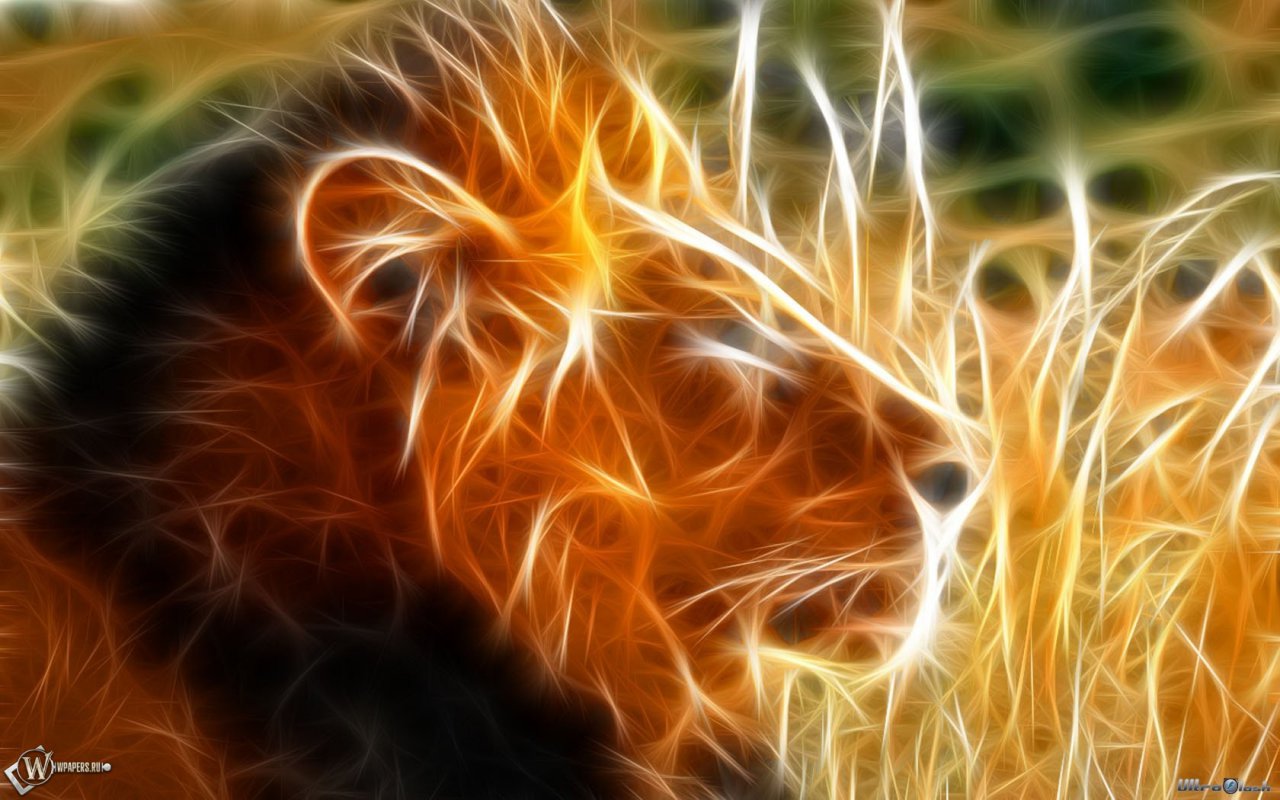 Огненный Лев обои