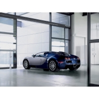  Bugatti Veyron  ,        