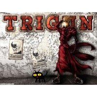  Trigin -    -   ,  - 
