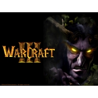   WarCraft III -      ,  - 