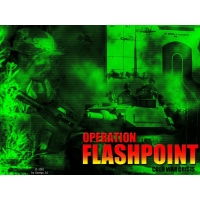  Operation Flashpoint -      ,  