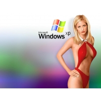        Windows XP,       