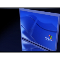  Windows XP Professional -      ,  - 