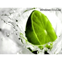 Windows Vista Live  -       ,  - 