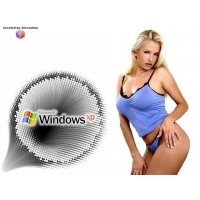       Windows XP,   ,   