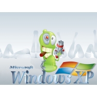     Microsoft Windows XP,       