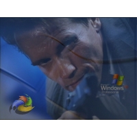     Windows XP,         