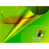   Windows XP -       ,  - 