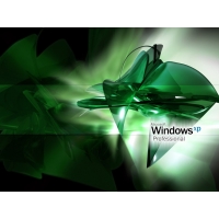   Windows Professional XP -       , 