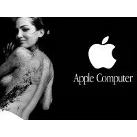 Apple Computer -     ,  
