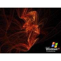   Windows XP -       , 