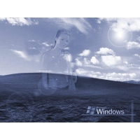     Windows XP -       , 
