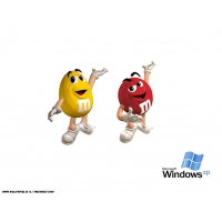     Windows XP,         