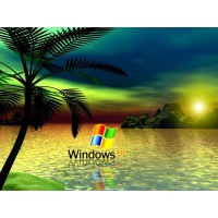  Windows XP  ,         