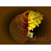 Ƹ    Windows XP,    -   