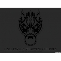 Final Fantasy  (22 .)