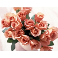 Букетик розовых роз - фото и обои для рабочего стола, обои цветы
