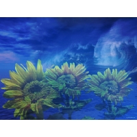 Подсолнухи на фоне моря - фотографии на рабочий стол, обои цветы