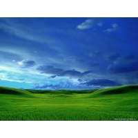 Windows XP, , ,     