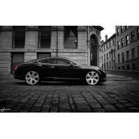 Bentley Continental GT-S  (3 .)