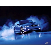 Ford Mustang Shelby 1999       1024 768