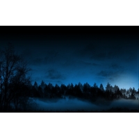 Туманная ночь в лесу картинки, фоновые рисунки на рабочий стол