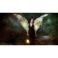Girl - an angel -   ,    