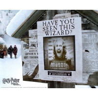 Harry Potter and the Prisoner of Azkaban -       