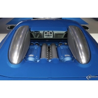 Bugatti Veyron Bleu Centenaire (2009)        