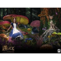 Alice   ,   