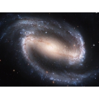 Spiral Galaxy NGC 1300 (NASA)        