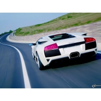 White Lamborghini  -    