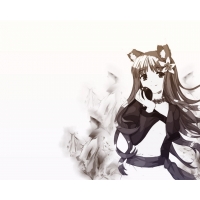  - Spice and Wolf       