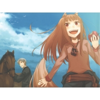 Spice and Wolf        