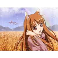 Spice and Wolf   ,   