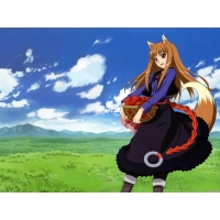 Spice and Wolf       1024 768