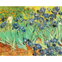 Irises, 1889, Vincent Van Gogh      