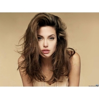 Angelina Jolie  (4 .)