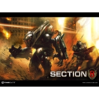 Section 8 -     