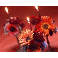 Цветы и свечи картинки, заставки на рабочий стол бесплатно