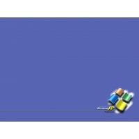  Windows XP -       ,  - 
