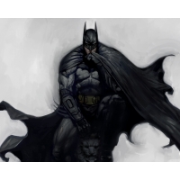 Batman: Arkham City    