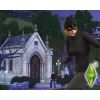 The sims 3        