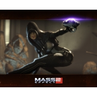 Mass Effect 2       