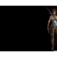 Tomb Raider 9        