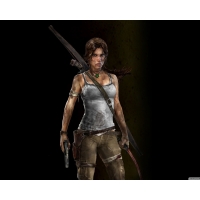 Tomb Raider 9       