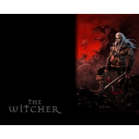 The Witcher    