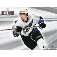 NHL 07          
